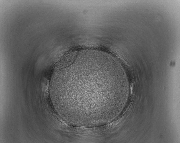 X0000090761251200707271459