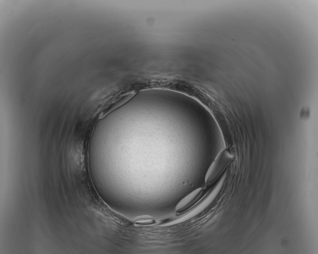 X0000090761252200707271459