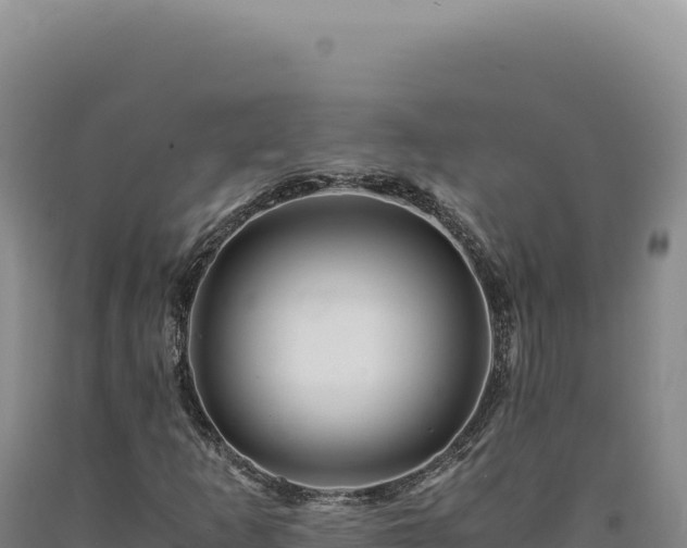 X0000090761253200707271459