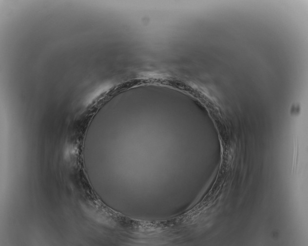 X0000090761254200707271459