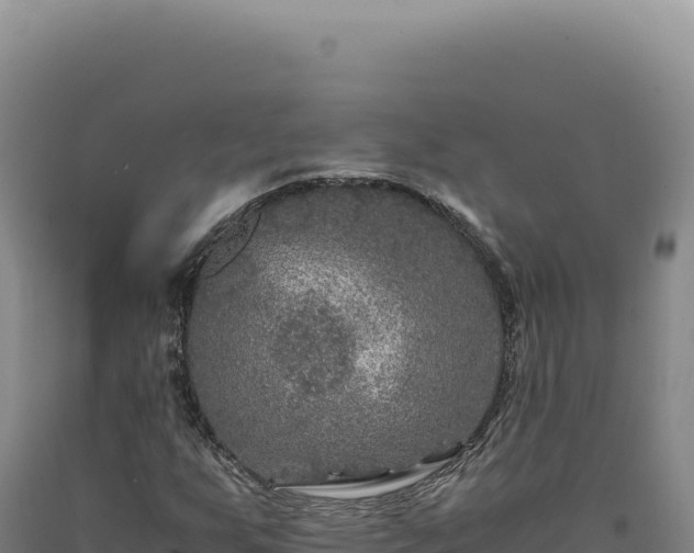 X0000090761255200707271459