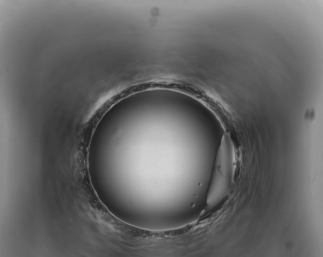 X0000090761256200707271459