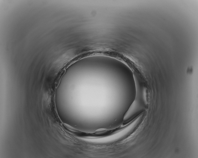 X0000090761257200707271459