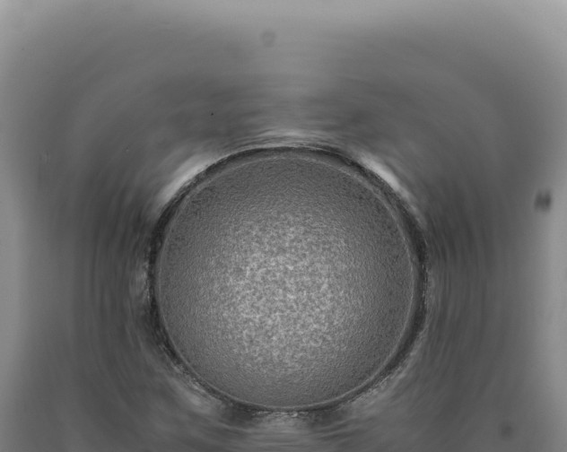 X0000090761259200707271459