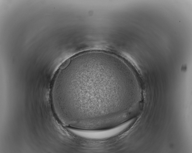 X0000090761260200707271459