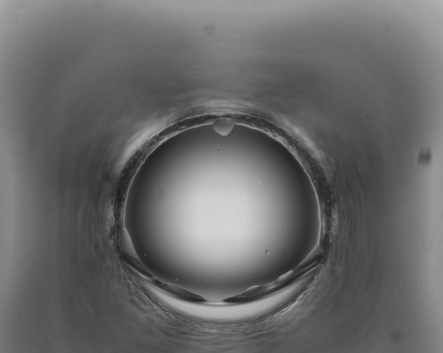 X0000090761261200707271459