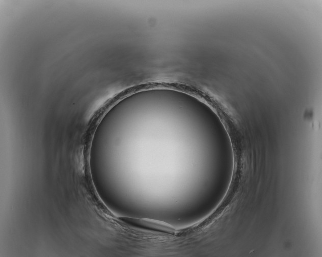 X0000090761262200707271459