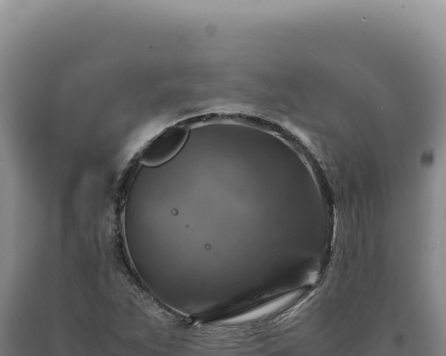 X0000090761263200707271459