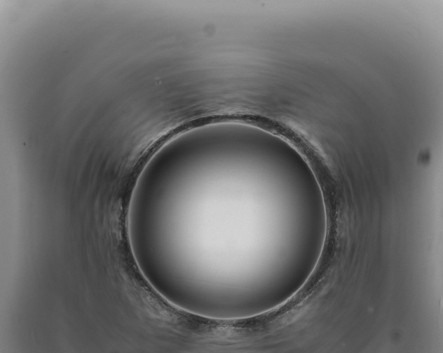 X0000090761265200707271459