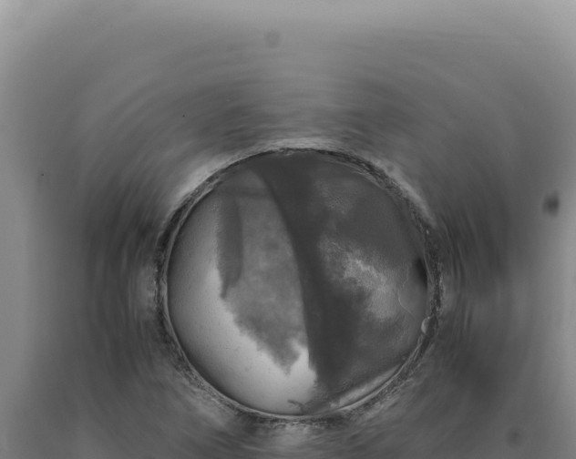 X0000090761266200707271459