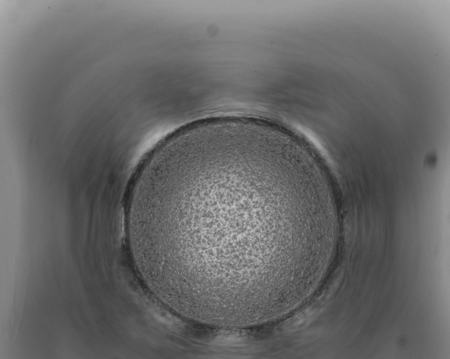 X0000090761267200707271458