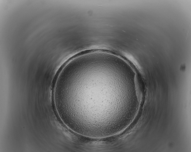 X0000090761268200707271458