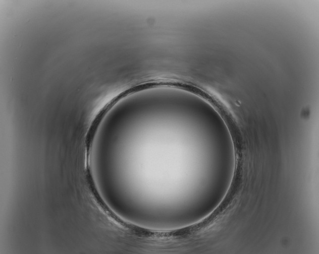 X0000090761269200707271458