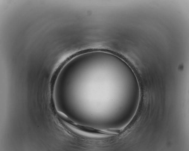 X0000090761270200707271458