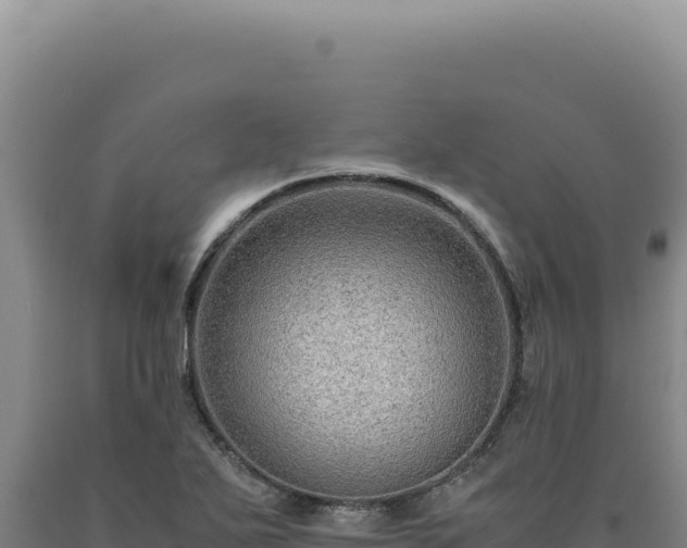 X0000090761271200707271458