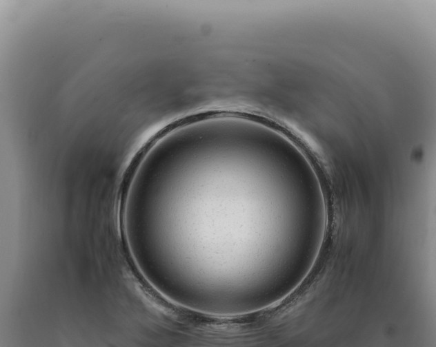 X0000090761272200707271458