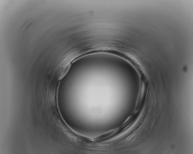 X0000090761273200707271458