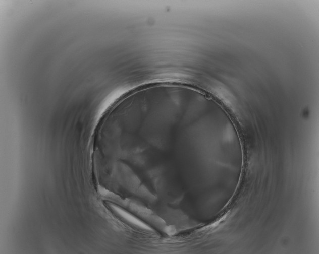 X0000090761275200707271458