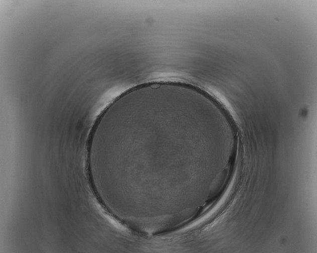 X0000090761277200707271458