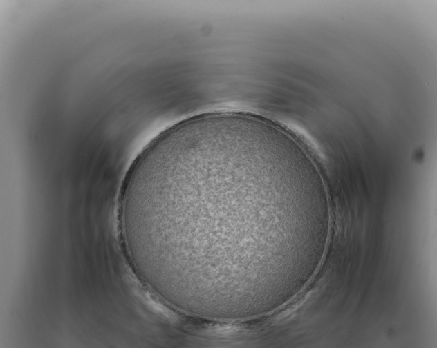 X0000090761278200707271458