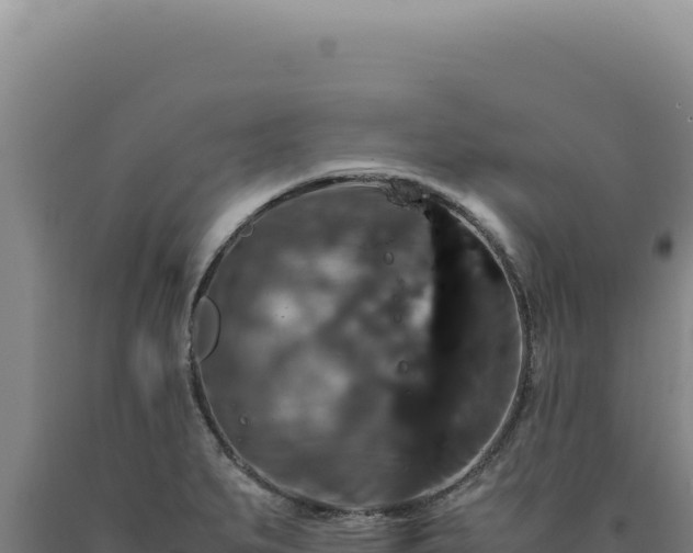 X0000090761279200707271458