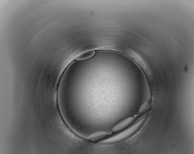 X0000090761284200707271458