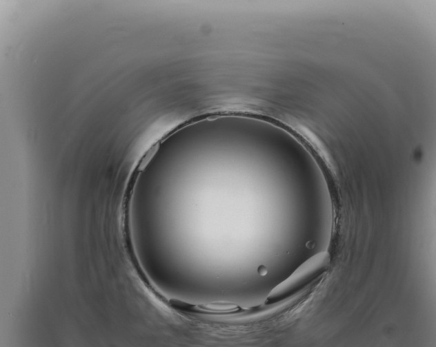 X0000090761285200707271458