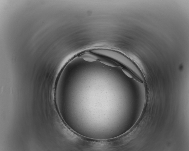 X0000090761288200707271458