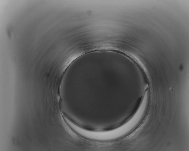 X0000090761289200707271458