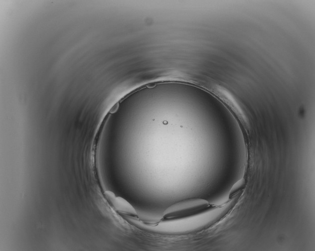 X0000090761292200707271458