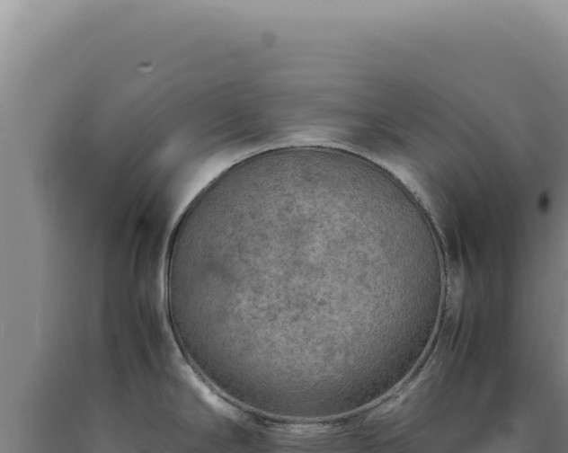 X0000090761294200707271458