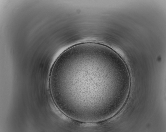 X0000090761296200707271458