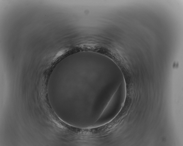 X0000090761297200707271458