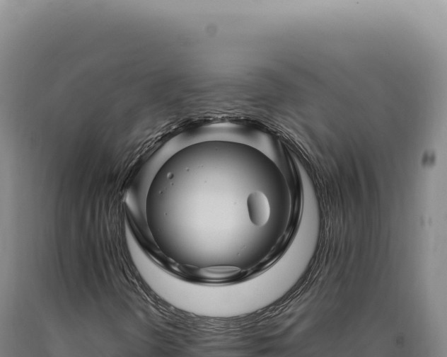 X0000090761298200707271458