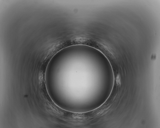 X0000090761299200707271458