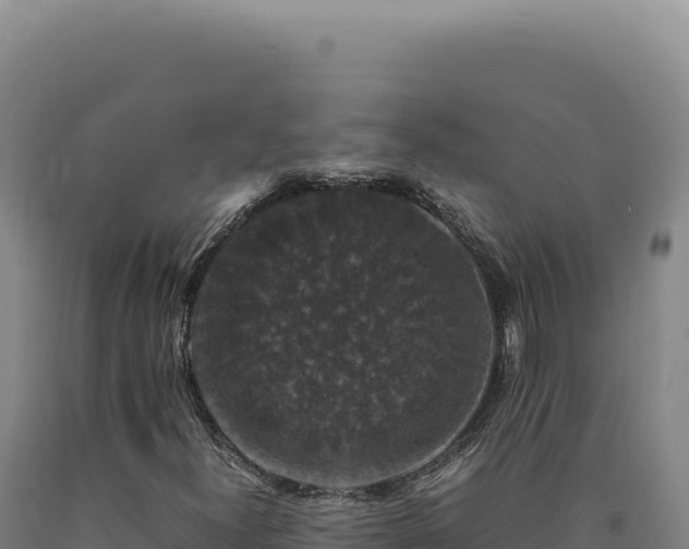 X0000090761300200707271458