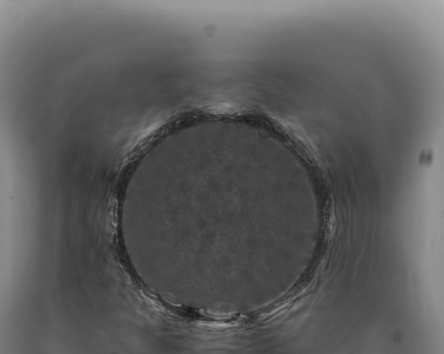 X0000090761301200707271458