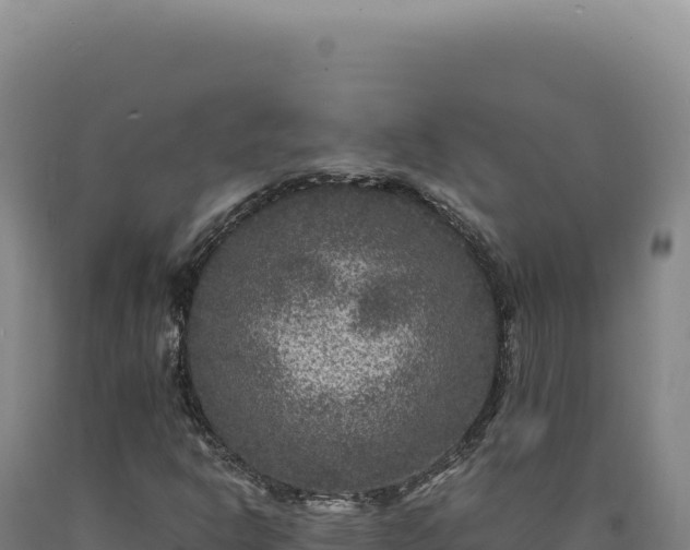 X0000090761302200707271458