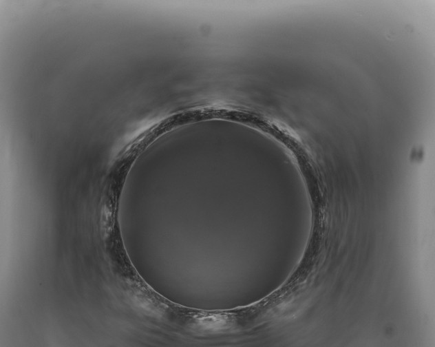 X0000090761303200707271458