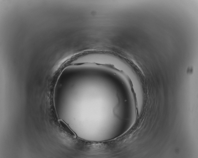 X0000090761304200707271458