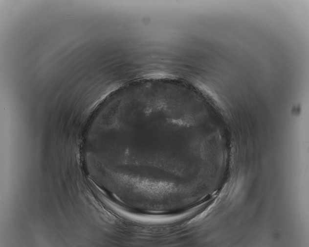 X0000090761305200707271458