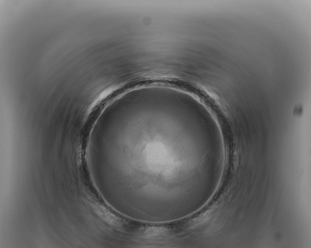 X0000090761306200707271458