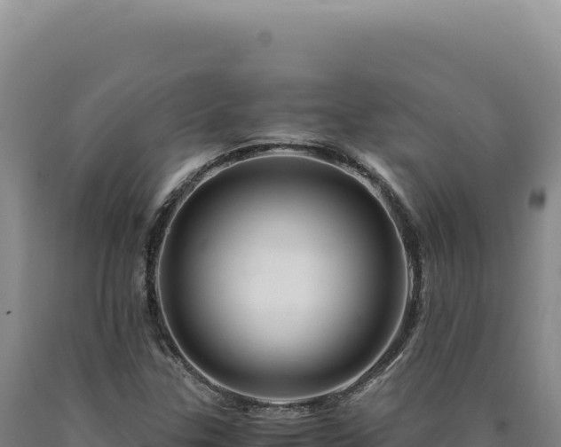 X0000090761307200707271458