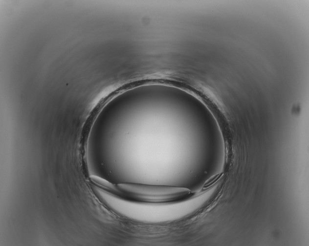 X0000090761308200707271458