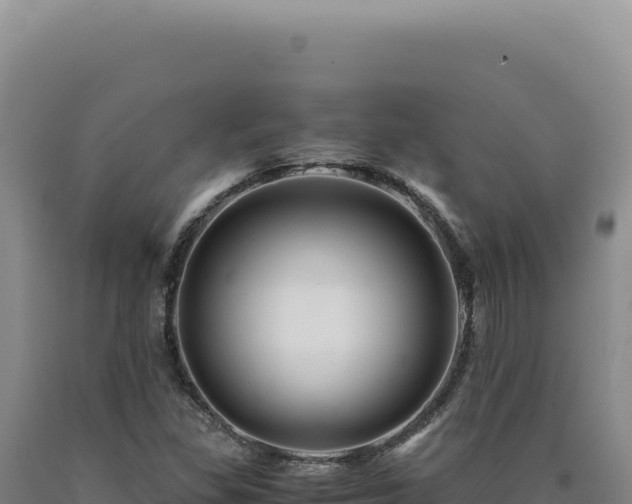 X0000090761309200707271458