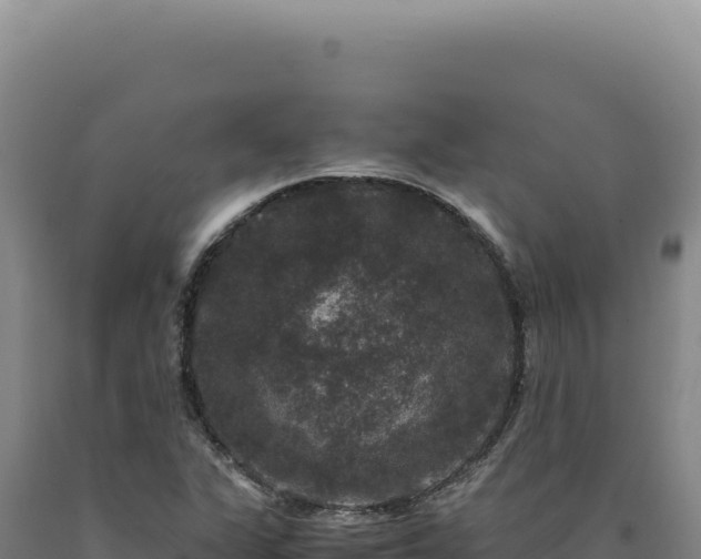 X0000090761311200707271458