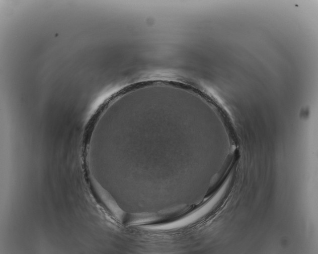 X0000090761312200707271458