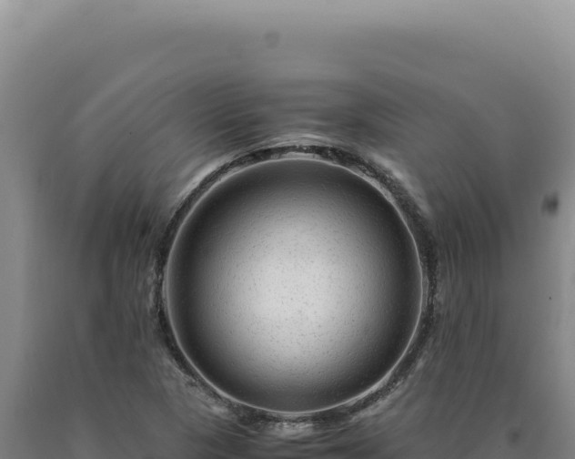 X0000090761313200707271458