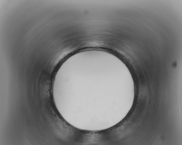 X0000090761314200707271458