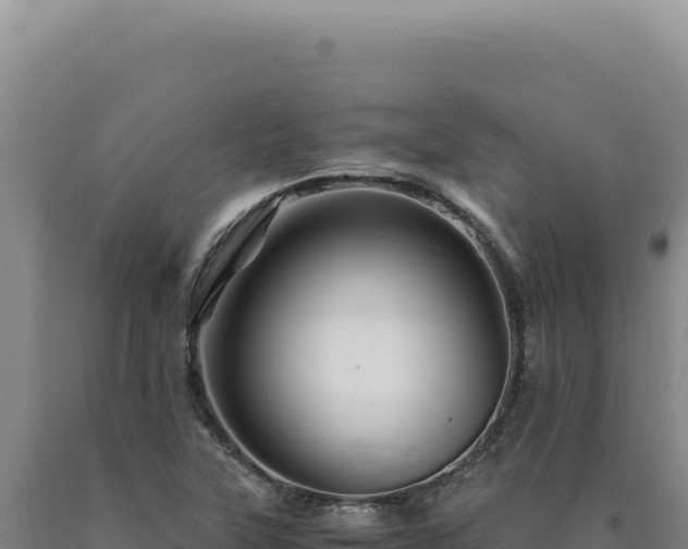 X0000090761315200707271458